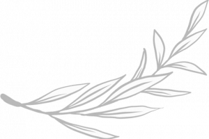 flwr6